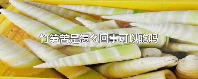 竹笋苦是怎么回事可以吃吗 竹笋苦是怎么回事可以吃吗