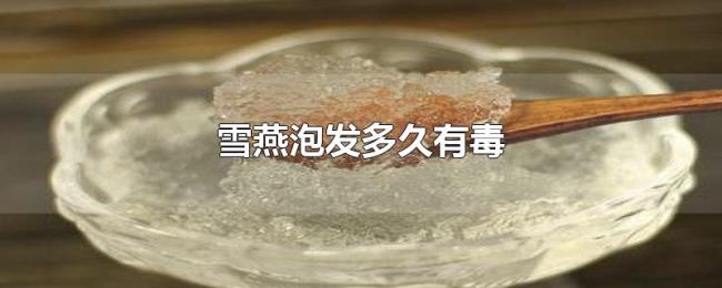 雪燕泡发多久有毒