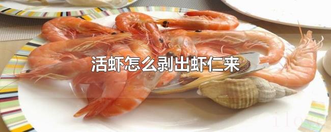 活虾怎么剥出虾仁来 活虾怎么剥出虾仁来