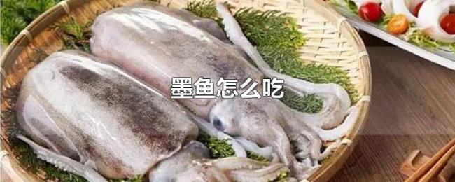 墨鱼怎么吃 墨鱼怎么吃