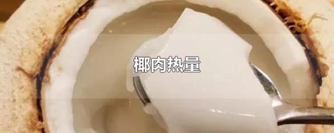 椰肉热量