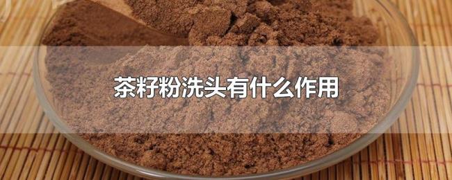 茶籽粉洗头有什么作用