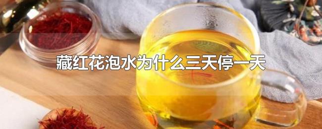 藏红花泡水为什么三天停一天 藏红花泡水为什么三天停一天