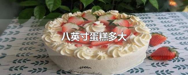八英寸蛋糕多大 八英寸蛋糕多大