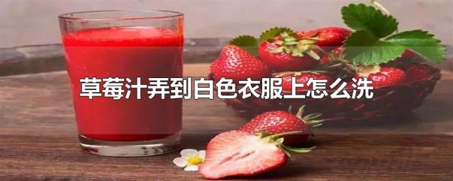 草莓汁弄到白色衣服上怎么洗