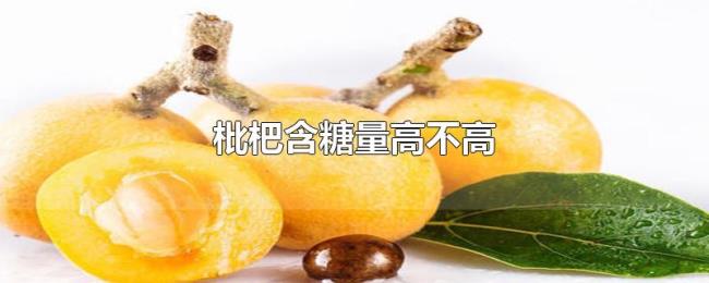 枇杷含糖量高不高