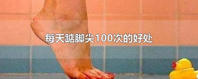 每天踮脚尖100次的好处