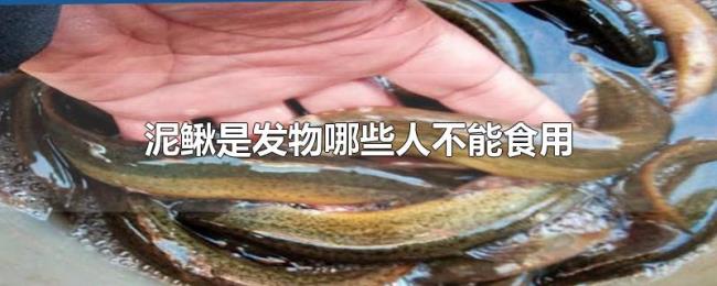泥鳅是发物哪些人不能食用