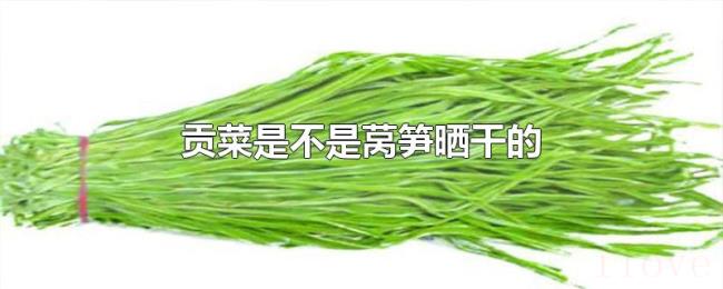 贡菜是不是莴笋晒干的