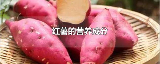 红薯的营养成分