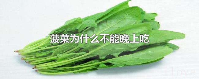 菠菜为什么不能晚上吃