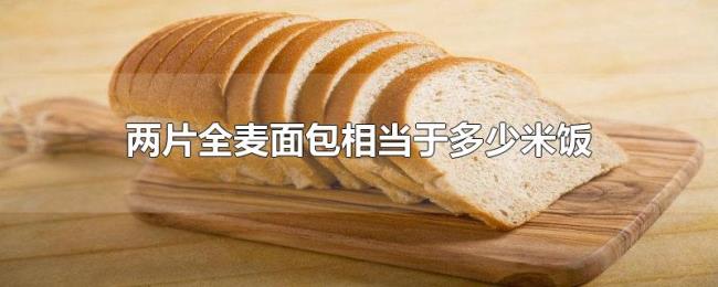 两片全麦面包相当于多少米饭