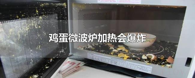 鸡蛋微波炉加热会爆炸 鸡蛋微波炉加热会爆炸