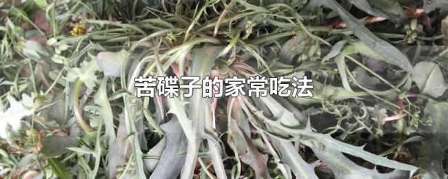苦碟子的家常吃法