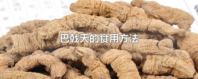 巴戟天的食用方法